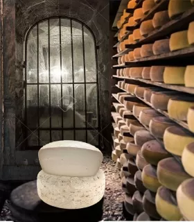 Fromage Tomme pur Chèvre des Pyrénées